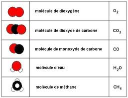 molecule